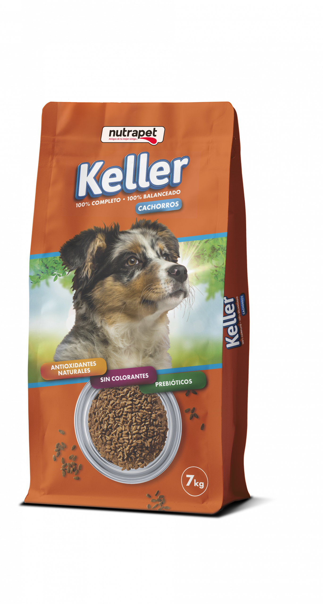 Keller Cachorros